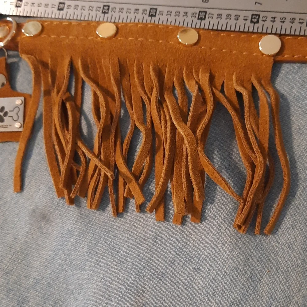 Nwot never used camel or Tan fringe dog collar leather